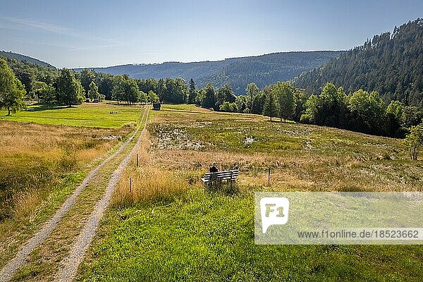 Woman sitting on bench in endless nature on the hiking trail Sprollenhäuser Hut  Bad Wildbad  Black Forest  Germany  Europe