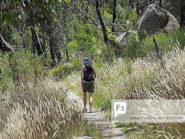 Australia  Queensland  Girraween National Park  Back view of woman hiking on trail in wilderness
