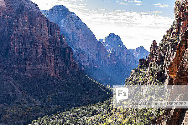 United States  Utah  Zion National Park  View of valley