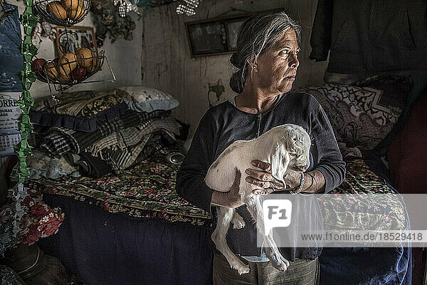 Mexikanische Frau hält eine junge Ziege in ihrem Haus; Ejido Hidalgo  San Luis  Mexiko