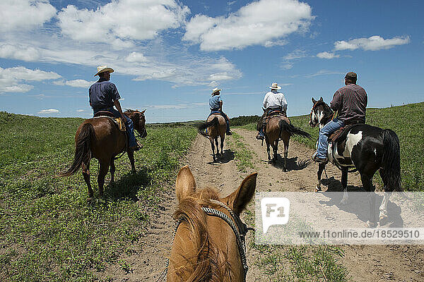Ranchers on horseback follow a dirt road; Burwell  Nebraska  United States of America