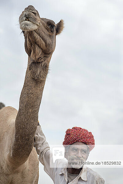 Ein indischer Mann steht stolz neben seinem Kamel; Pushkar  Rajasthan  Indien