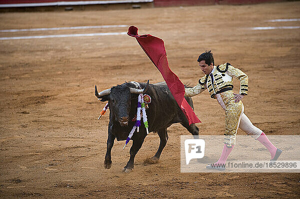 At a bullfight in Mexico City  a bull charges past the Matador; Mexico City  Mexico