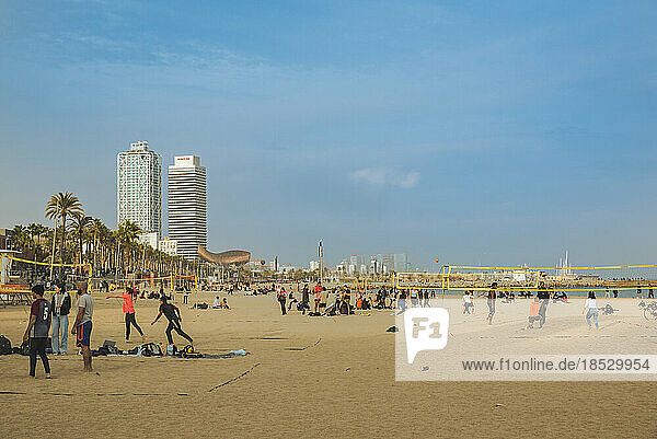 Beachvolleyball und Sonnenbaden am Strand Barceloneta in Barcelona  Spanien; Barcelona  Spanien