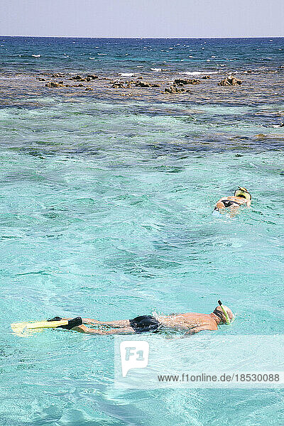 Stingray City  eine beliebte vorgelagerte Sandbank  auf der sich die Rochen an den Menschen gewöhnt haben  so dass dieser gefahrlos neben den Tieren schwimmen kann; Grand Cayman  Cayman Islands