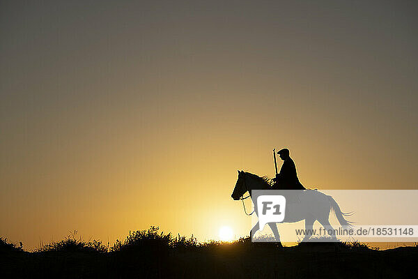 Pferd und Reiter als Silhouette bei Sonnenaufgang; Saintes-Maries-de-la-Mer  Frankreich