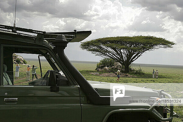 Touristen auf Safari in Tansania; Serenera  Tansania