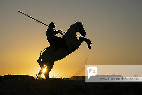 Pferd und Reiter in der Silhouette bei Sonnenaufgang; Saintes-Maries-de-la-Mer  Frankreich