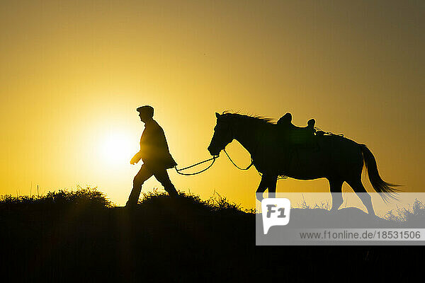 Mann führt Pferd  Silhouette bei Sonnenaufgang; Saintes-Maries-de-la-Mer  Frankreich