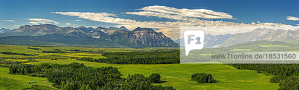 Panoramaansicht von grünen Feldern mit Bäumen  sanften Ausläufern  Bergkette  blauem Himmel und Wolken  nordöstlich von Waterton  Alberta; Alberta  Kanada