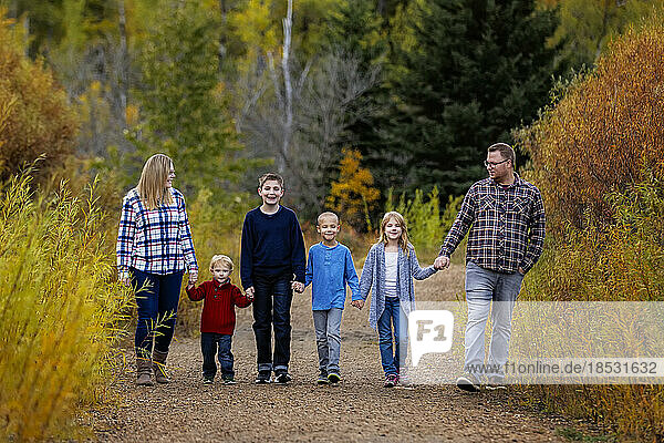 Sechsköpfige Familie  die Hand in Hand in einem Park im Herbst spazieren geht; Edmonton  Alberta  Kanada