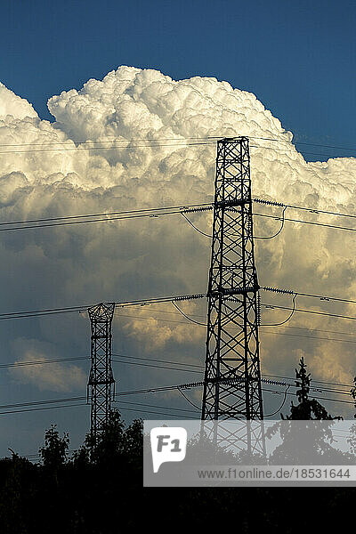 Silhouette von Metall-Strommasten mit Bäumen im Vordergrund und dramatischen Sturmwolken im Hintergrund und blauem Himmel darüber; Calgary  Alberta  Kanada