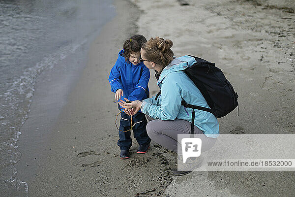 Mutter erkundet mit ihrer kleinen Tochter einen Strand  Ambleside Beach in West Vancouver; West Vancouver  British Columbia  Kanada
