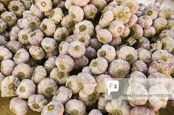Abundance of fresh garlic cloves at a local market; Collioure  Pyrenees Orientales  France