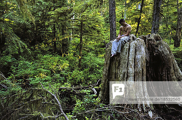 Junger Mann ohne Hemd  mit gesenktem Kopf  auf einem Baumstumpf in einem dichten Wald im Pacific Rim National Park  BC  Kanada; Vancouver Island  British Columbia  Kanada