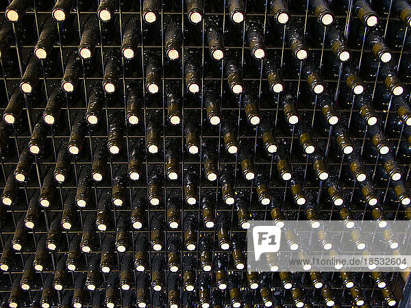 Mit Portweinflaschen gefülltes Regal; Douro-Tal  Portugal