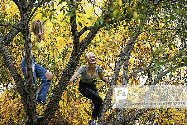 Zwei Teenager klettern auf einen Baum und posieren für die Kamera in einem Stadtpark an einem warmen Herbsttag; St. Albert  Alberta  Kanada.