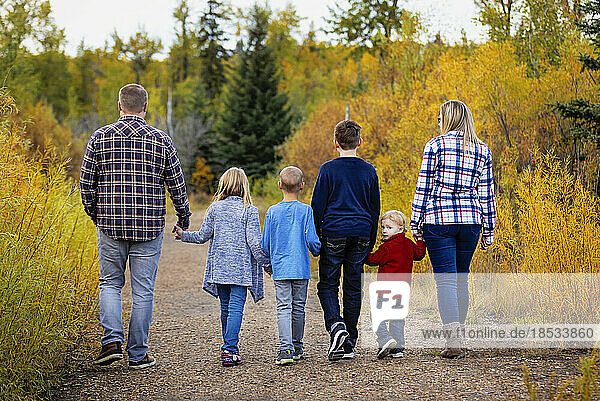 Sechsköpfige Familie  die Hand in Hand in einem Park im Herbst spazieren geht; Edmonton  Alberta  Kanada