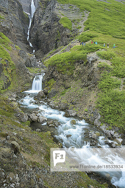 Touristen besichtigen einen Wasserfall in Island; Island