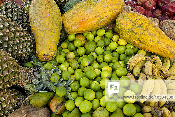 Exotische tropische Früchte wie Ananas  Limetten und Papaya; Ambergris Caye  Belize