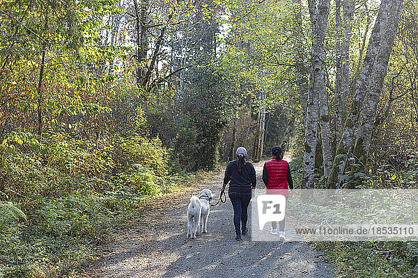 Zwei Frauen und ein Hund gehen auf einem bewaldeten Weg spazieren; Vancouver Island  British Columbia  Kanada