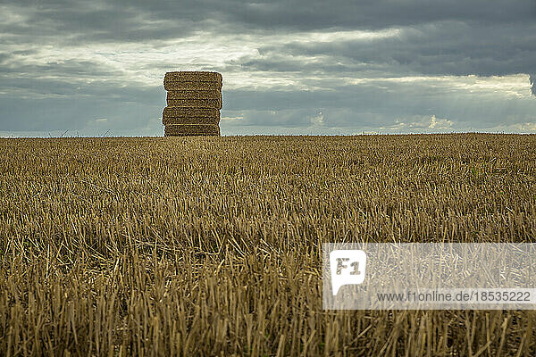 Strohballen  gestapelt am Horizont eines abgeernteten goldenen Getreidefeldes bei Rockbourne  in der Nähe von Salisbury  unter einem stürmischen  grauen Himmel; Wiltshire  England
