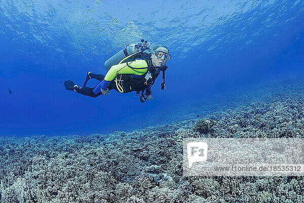 Taucher schwimmt über das Riff im Molokini Marine Preserve  Hawaii  USA; Maui  Hawaii  Vereinigte Staaten von Amerika