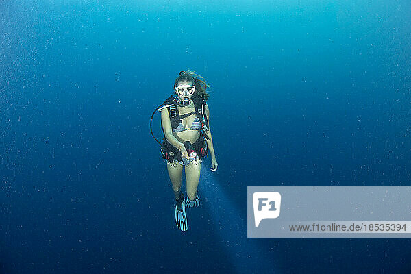 Female diver in mid water with a light  open ocean  off the island of Yap  Micronesia; Yap  Federated States of Micronesia