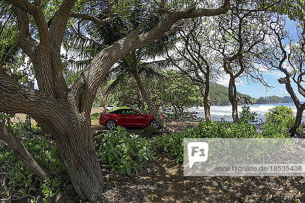 Rotes Auto  geparkt unter Bäumen entlang einer hawaiianischen Küstenlinie mit Blick  Hawaii  USA; Maui  Hawaii  Vereinigte Staaten von Amerika