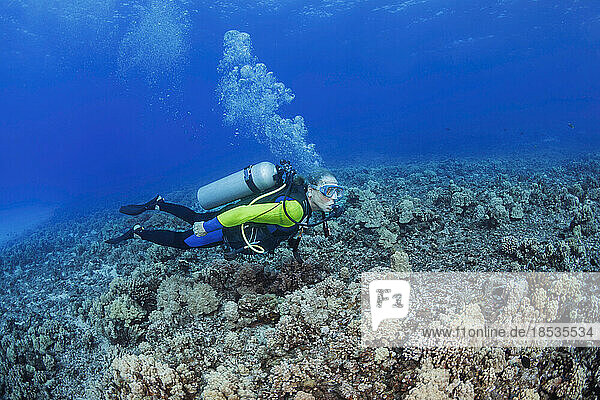 Taucher schwimmt über das Riff im Molokini Marine Preserve  Hawaii  USA; Maui  Hawaii  Vereinigte Staaten von Amerika