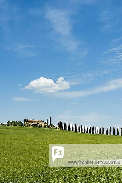 Bauernhaus und Zypressen  San Quirico d'Orcia  Val d' Orcia  Orcia-Tal  UNESCO-Weltkulturerbe  Provinz Siena  Toskana  Italien  Europa