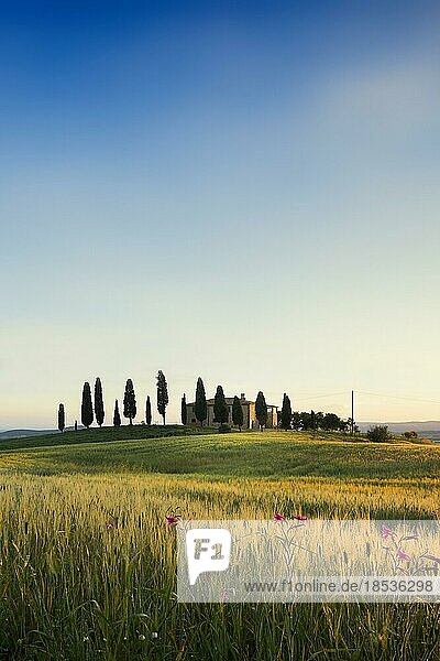 Bauernhaus und Zypressen  Sonnenaufgang  Pienza  Val d' Orcia  Orcia-Tal  UNESCO-Weltkulturerbe  Provinz Siena  Toskana  Italien  Europa