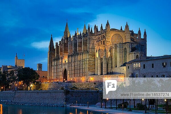 Kathedrale der Heiligen Maria La Seu in gotischer Baustil gotische Architektur im Abendlicht  Palma de Mallorca  Mallorca  Spanien  Europa