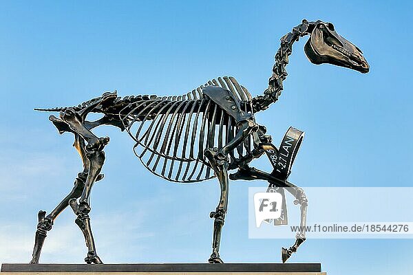 Hans Haacke Statue Geschenk Pferd auf dem Trafalgar Square