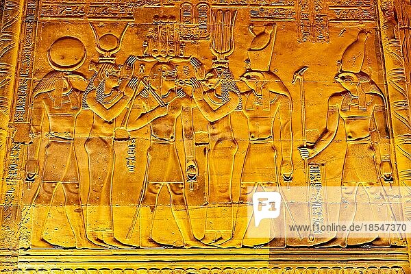 Ansicht des Reliefs und der Hieroglyphen an der Wand des Tempels von Sobek und Horus in Kom Ombo  Gouvernement Assuan  Oberägypten