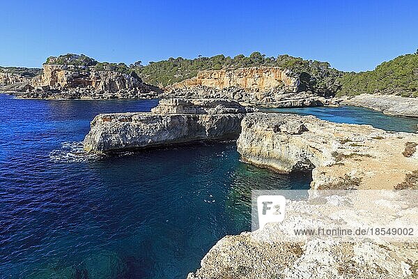 Europa  Spanien  Balearische Inseln  Insel Mallorca  Cala de s'Almunia  Europa
