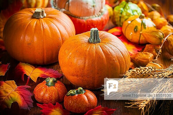 Traditionelle Kürbisse für Thanksgiving und Halloween in Herbstfarben