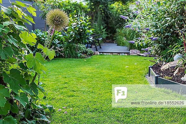 Landschaftsaufnahme eines schönen Gartens mit frisch gemähtem Rasen und Blumenbeeten. Weicher Fokus auf Pflanzen im Vordergrund