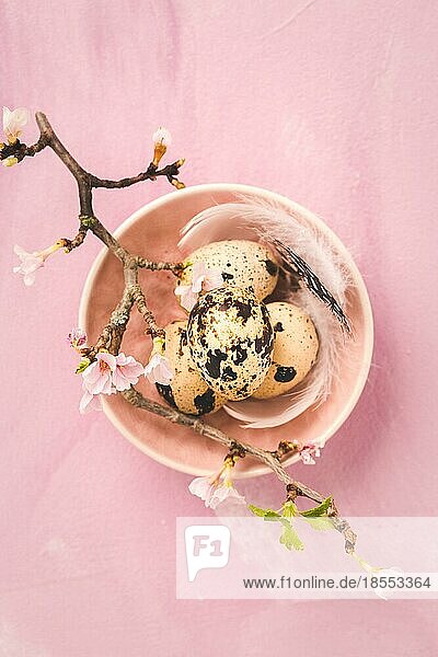 Ostereier auf mit Kirschzweig in rosa Ton. Osterdekoration im Vintagestil mit Kopierraum