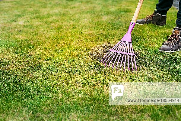 Aufräumen des Rasens mit einer Harke. Aerifizieren und Vertikutieren des Rasens im Garten. Verbesserung der Qualität des Rasens durch Entfernen von altem Gras und Moos