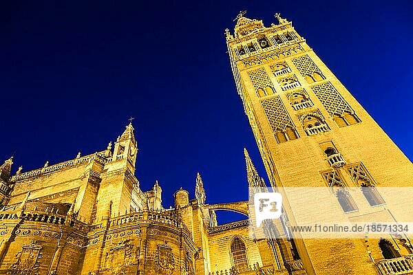 Glockenturm Giralda bei Nacht in Sevilla Spanien