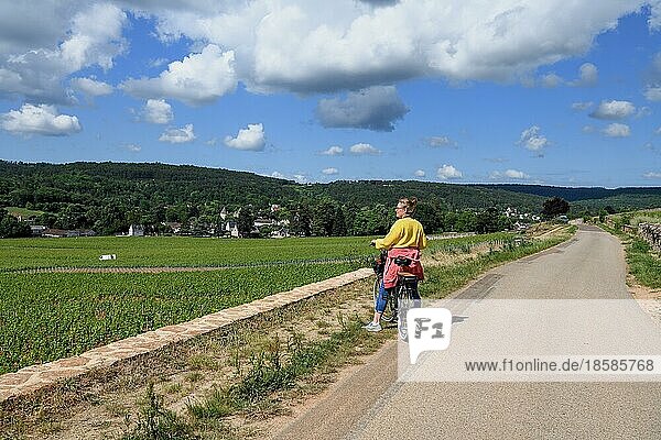 Radfahrerin in den Weinbergen an der Route des Grands-Crus  Route edler Weine  bei Savigny-lès-Beaune  Département Côte-d?Or  Burgund  Frankreich  Europa