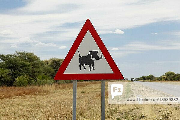 Verkehrsschild mit Warnung vor Warzenschweinen in Namibia