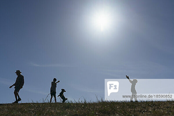 Silhouette of man and two boys (12-13) in meadow