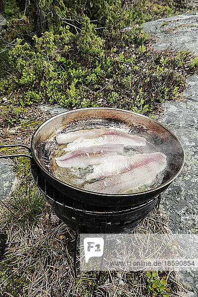Freshly caught fish in frying pan on lakeshore
