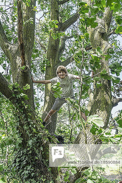 Portrait of smiling boy standing on leafy tree