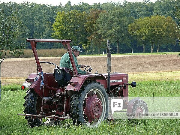 Traktor mit Landwirt  Gras mähen