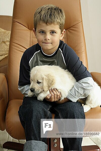 Little boy sitting in the armchair in the living room with a Golden Retriever puppy  6 weeks old  on his lap