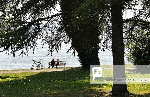 Am Bodensee  Immenstaad  Parkanlage mit Sitzbänken am Strand