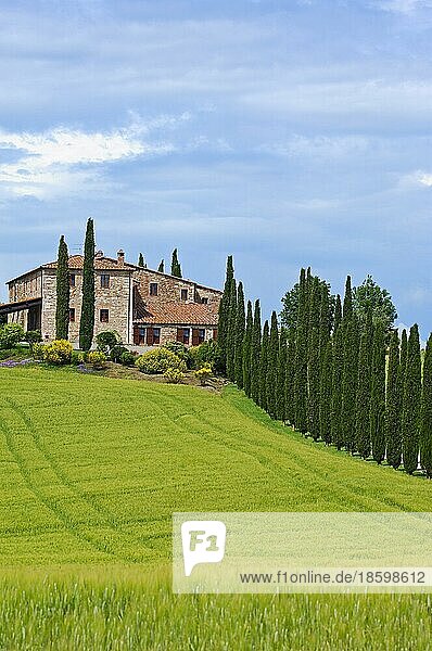 Val d'Orcia  Orcia Valley  farm with cypresses  fields and farmhouses  Tuscany landscape  UNESCO World Heritage Site  Pienza  Siena Province  Tuscany  Italy  Europe